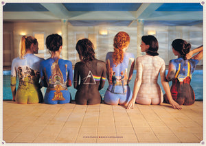 PINK FLOYD BACK CATALOGUE WITH BORDER POSTER 521