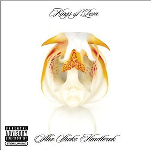 KINGS OF LEON | AHA SHAKE HEARTBREAK