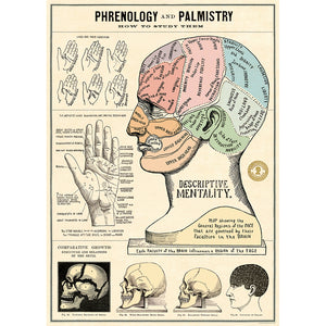 PHRENOLOGY AND PALMISTRY GIFT WRAP
