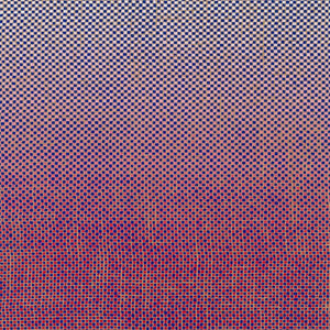 AMBROSE AKINMUSIRE / MARY HALVORSON | SLO - MO NEON LUMINATE HOVERINGS (VINYL)