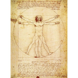 DA VINCI VITRUVIAN MAN POSTER 525