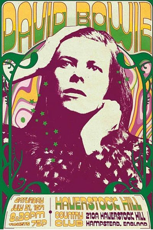 DAVID BOWIE HAVERSTOCK HILL POSTER 274
