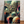 PSYCHEDELIC DYSTOPIA POSTER 288