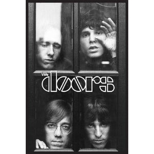 DOORS WINDOW POSTER MAXI 441