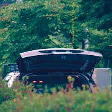 EIKO ISHIBASHI / JIM O'ROURKE | PAREIDOLIA (VINYL)