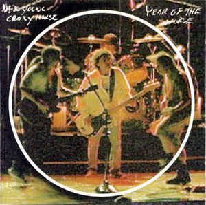 NEIL YOUNG | YEAR OF THE HORSE (2CD)