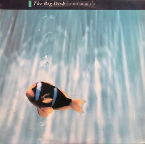 BIG DISH | SWIMMER