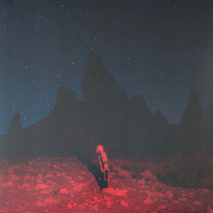 PHOEBE BRIDGERS | PUNISHER - 2021 REPRESS