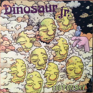 DINOSAUR JR | I BET ON SKY
