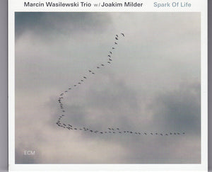 MARCIN WASILEWSKI | SPARK OF LIFE
