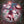 COHEED AND CAMBRIA | AFTERMAN DESCENSION