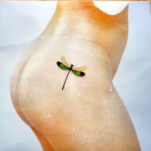 KACY HILL | BUG - GOLD WAX