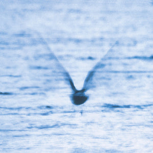 RYO FUKUI | MELLOW DREAM - HALF SPEED MASTER