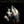 GENESIS | SECONDS OUT - 2LP US - DELETION CUT