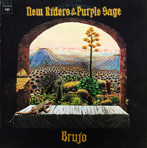 NEW RIDERS OF THE PURPLE SAGE | BRUJO - US