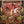 SPYRO GYRA | MORNING DANCE - US PRESSING
