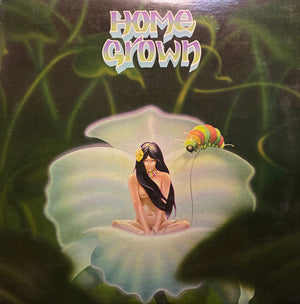 VARIOUS | HOME GROWN (1976) KKUA