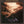 JACKSON BROWNE | RUNNING ON EMPTY - US