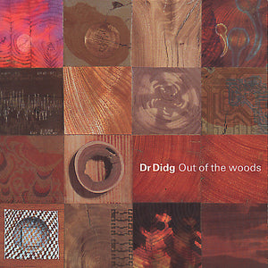 DR DIDG | OUT OF THE WOODS
