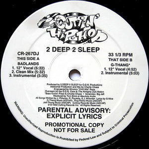 2 DEEP 2 SLEEP | BADLANDS / G-THANG 12 - US PROMO - GENERIC SLEEVE