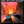 NEIL YOUNG | TRANS - US