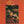 THREE DOG NIGHT | IT AIN'T EASY - US