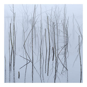 OLHAVA | FROZEN BLOOM - 2LP - ULTRA CLEAR