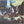 REELS | PITT STREET FARMERS