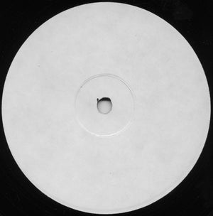 BUSTA RHYMES | PARTY IS GOIN ON OVER HERE 12 - US WHITE LABEL - GENERIC SLEEVE