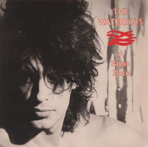 WATERBOYS | PAGAN PLACE ( 5 BONUS TRACKS REMASTERED )