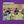 BEACH BOYS | FUN FUN FUN - AKA SHUT DOWN VOL 2 - 1970S REISSUE