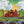 BEACH BOYS | FRIENDS/20/20 (REMASTERED)