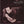 GRANT LEE PHILLIPS | VIRGINIA CREEPER
