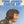 TOM JONES | CLOSE UP - US