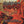 EXHUMED | SLAUGHTERCULT