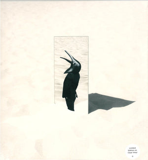 PENGUIN CAFE | IMPERFECT SEA - CLEAR