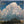 MALCOLM DALGLISH / GREY LARSEN | THUNDERHEAD