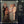ABBA | BEST OF ABBA - NZ