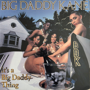 BIG DADDY KANE | ITS A BIG DADDY THING - US- BIT ROUGH
