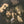 CREEDENCE CLEARWATER REVIVAL | PENDULUM - US