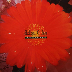 SHELLEYAN ORPHAN | CENTURY FLOWER