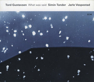 TORD GUSTAVSEN | WHAT WAS SAID