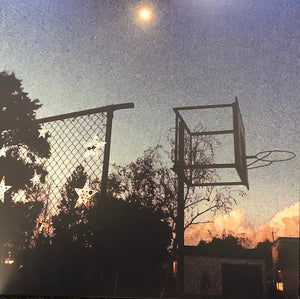 TINY RUINS / HAMISH KILGOUR | HURTLING THROUGH EP