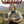RIVER COTTAGE | RIVER COTTAGE ROAD TRIP