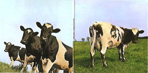 PINK FLOYD | ATOM HEART MOTHER (LP REPLICA SLEEVE)