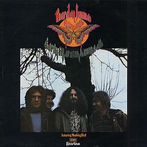 BARCLAY JAMES HARVEST | EARLY MORNING ONWARDS