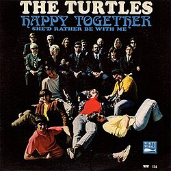 TURTLES | HAPPY TOGETHER