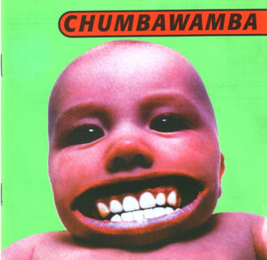 CHUMBAWAMBA | TUBTHUMPER