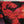 QUENCH | TOKYO SKIN - MORE REMIX - JAPANESE PRESSING