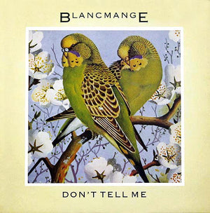BLANCMANGE | DON'T TELL ME 12 - BUDGIE COVER